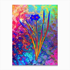 Primrose Peerless Botanical in Acid Neon Pink Green and Blue n.0238 Canvas Print