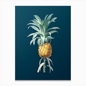 Vintage Pineapple Botanical Art on Teal Blue n.0480 Canvas Print