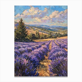 Lavender Field 16 Canvas Print