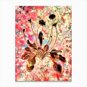 Impressionist Daisy Flowers Botanical Painting in Blush Pink and Gold Canvas Print