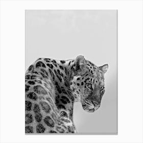 Tiger Black And White Canvas Print