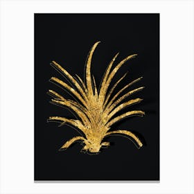 Vintage Pineapple Botanical in Gold on Black n.0103 Canvas Print
