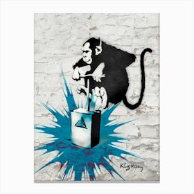 Monkey explosion | Street art Canvas Print