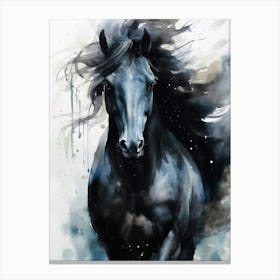 Black Horse animal Canvas Print