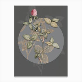 Vintage Botanical Pink Clover on Circle Gray on Gray n.0262 Canvas Print