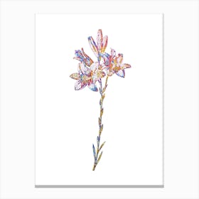 Stained Glass Madonna Lily Mosaic Botanical Illustration on White n.0322 Canvas Print
