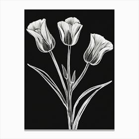 Tulips 1 Canvas Print