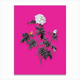 Vintage Pink Rosebush Black and White Gold Leaf Floral Art on Hot Pink n.0255 Canvas Print