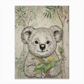 Koala 6 Canvas Print