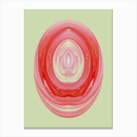 Pastel Healing Crystal Red Canvas Print
