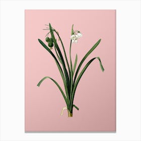 Vintage Summer Snowflake Botanical on Soft Pink Canvas Print