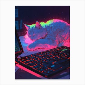 Cat Sleeping On A Laptop Canvas Print