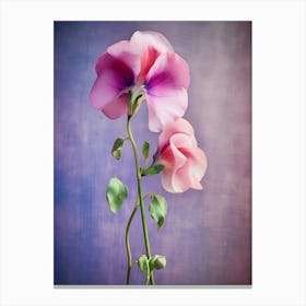 Sweet Peas Canvas Print