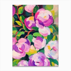 Magnolia Floral Print Abstract Block Colour 1 Flower Canvas Print