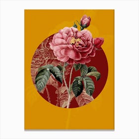 Vintage Botanical Gallic Rose Rosa Gallica Aurelianensis on Circle Red on Yellow n.0101 Canvas Print