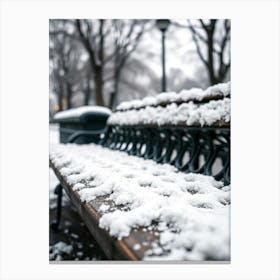 Winter Park Canvas Print