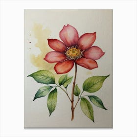 Watercolour Of A Red Flower Canvas Print