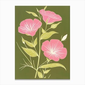 Pink & Green Evening Primrose 1 Canvas Print
