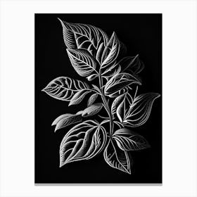 Oregano Leaf Linocut 4 Canvas Print