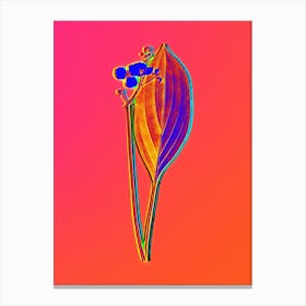 Neon Bulltongue Arrowhead Botanical in Hot Pink and Electric Blue n.0336 Canvas Print