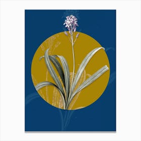 Vintage Botanical Spanish Bluebell on Circle Yellow on Blue Canvas Print