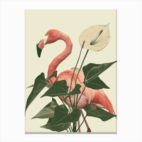 American Flamingo And Anthurium Minimalist Illustration 1 Canvas Print