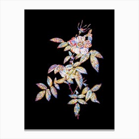 Stained Glass Pink Boursault Rose Mosaic Botanical Illustration on Black Canvas Print