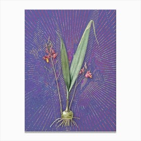 Vintage Pine Pink Botanical Illustration on Veri Peri n.0493 Canvas Print