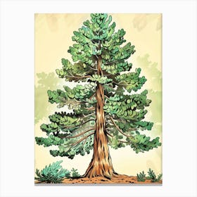 Redwood Tree Storybook Illustration 3 Canvas Print