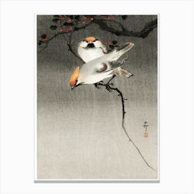 Bohemian Waxwing Birds (1900 1930), Ohara Koson Canvas Print
