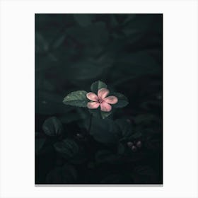 Pink Flower In Water 2 Canvas Print