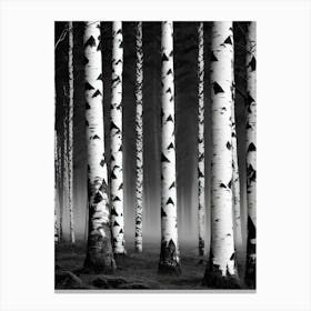 Birch Forest 95 Canvas Print