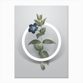 Vintage Greater Periwinkle Flower Minimalist Botanical Geometric Circle on Soft Gray n.0345 Canvas Print