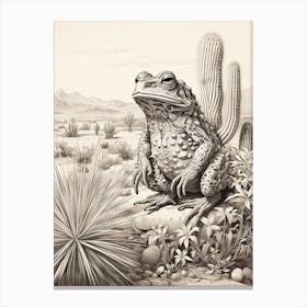 Desert Wave Frog Drawing 7 Canvas Print