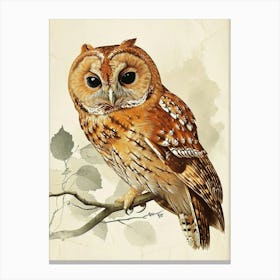 Tawny Owl Vintage Illustration 1 Canvas Print
