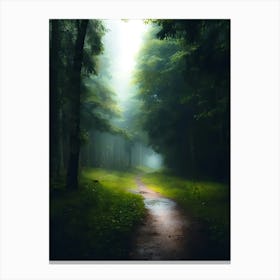 Path In The Woods 3 Canvas Print