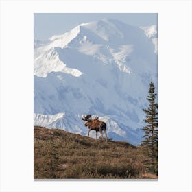 Grand Mountain Views Canvas Print