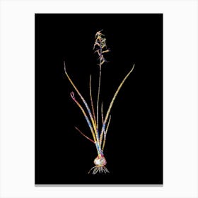 Stained Glass Hyacinthus Viridis Mosaic Botanical Illustration on Black n.0361 Canvas Print