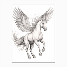 Pegasus Pencil Illustration Canvas Print