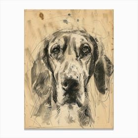 English Foxhound Dog Charcoal Line 1 Canvas Print
