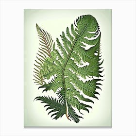 Sensitive Fern Vintage Botanical Poster Canvas Print