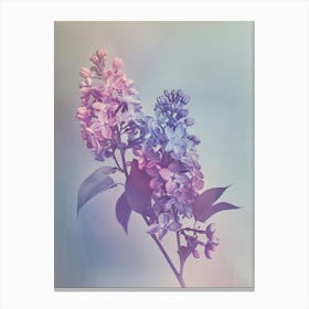 Iridescent Flower Lilac 2 Canvas Print