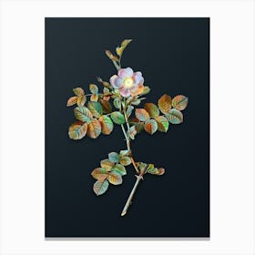 Vintage Pink Sweetbriar Rose Botanical Watercolor Illustration on Dark Teal Blue n.0714 Canvas Print
