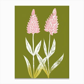 Pink & Green Celosia 2 Canvas Print