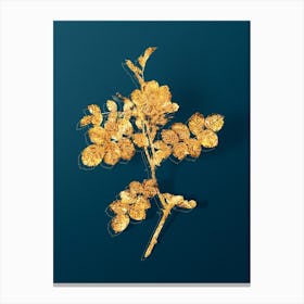 Vintage Pink Sweetbriar Rose Botanical in Gold on Teal Blue n.0219 Canvas Print