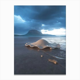 Shell On The Beach Canvas Print