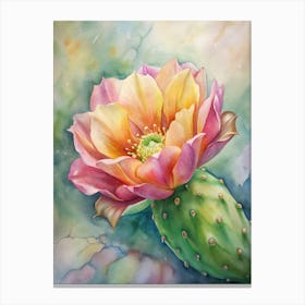 Cactus Flower 1 Canvas Print