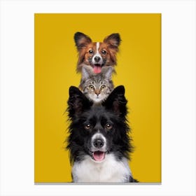 Three Dogs And A Cat Canvas Print