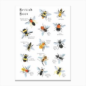 British Bees Canvas Print