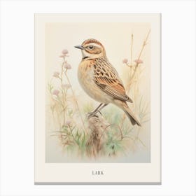 Vintage Bird Drawing Lark 3 Poster Canvas Print